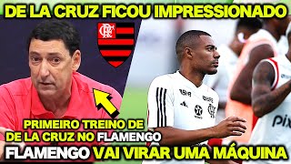 COMENTARISTA DEU AULA na ANÁLISE sobre o FLAMENGO DE LA CRUZ FICOU IMPRESSIONADO no PRIMEIRO TREINO [upl. by Engen]