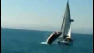 Killer Clips Awesome Whale Attack [upl. by Yhtamit]