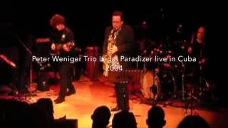 Peter Weniger Trio Legal Paradizer [upl. by Buyers]