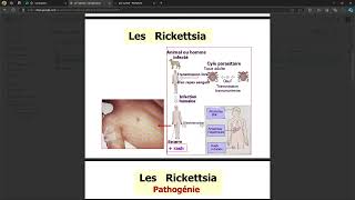 Bacteriologie  Rickketsia FMPC [upl. by Gasper]