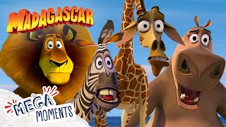 Shows Over Folks  Madagascar  Mega Moments [upl. by Adnale]