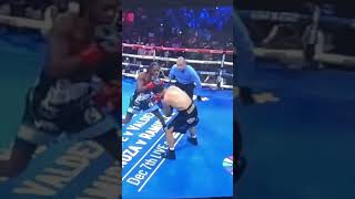 UpCloseSloMo Keyshawn Davis final combo sends both Lemos amp ref flying boxing boxeo [upl. by Aden]