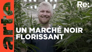 République tchèque  le boom du cannabis  ARTE Regards [upl. by Niledam]