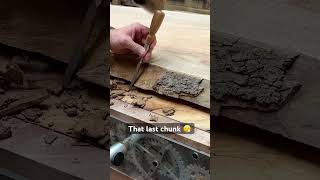 Debarking live edge satisfying woodworking wood [upl. by Boser]