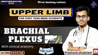 Brachial Plexus  Upper limb Anatomy  1st year MBBS Lecture  Clinical Anatomy of brachial plexus [upl. by Germann]