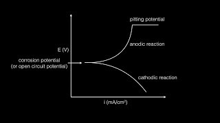 Potentiodynamic Corrosion Testing Protocol step by step [upl. by Tirb]