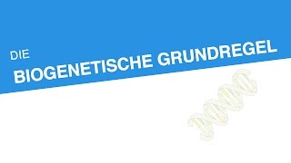 DIE BIOGENETISCHE GRUNDREGEL  Biologie  Genetik und Entwicklungsbiologie [upl. by Ebeohp]