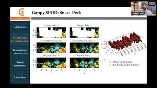 DDPS  “Datadriven techniques for analysis of turbulent flows” [upl. by Ardnatal]