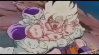 Ytp ita Goku contro il Congelatore di steroidi  Tributo a LordFolle [upl. by Robena690]