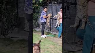 sher ki video short rail viral video [upl. by Hannahc24]