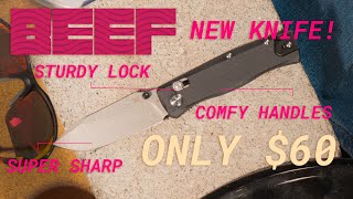 The BEEF The BEST BUDGET EDC with an UNBEATABLE WARRANTY [upl. by Schmitt487]