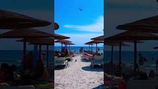 Mamaia Nord Beach shorts [upl. by Osbert]