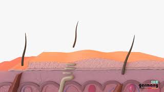 Dauerhafte Haarentfernung und AntiAging Effekt dank Laser  IPL SHR M26 – SHR Germany [upl. by Satterlee]