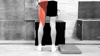 Hamstring Sliders Eccentric Hamstring Exercise [upl. by Lednar]