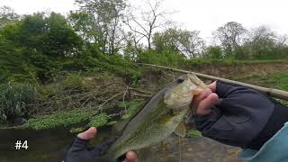 Fiberglass Orvis Superfine 4wt fly rod fly fishing in a remote creek for bass and sun fish [upl. by Toll]