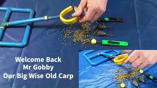 How The Zebedee helps with short rigs and solid PVA bags [upl. by Eibbed]