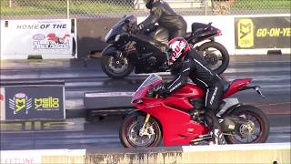 Ducati 1299 Panigale vs Suzuki Hayabusa 14 Mile Drag Races [upl. by Nohsav]