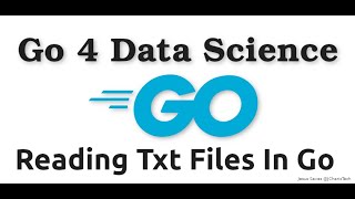 Go4DataScience Reading Text Files in Golang [upl. by Ainoyek712]