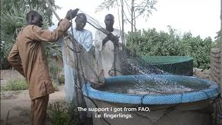 FAOCM Djibrine Abba Aquaculture En YT [upl. by Plath]