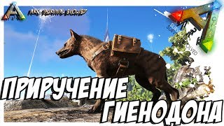 ARK Survival Evolved  ПРИРУЧЕНИЕ ГИЕНОДОНА TAMING HYAENODON [upl. by Lail]