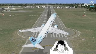 How to Land the PMDG 737 by a Real 737 Captain [upl. by Akim]