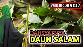 DAUNNYA NABI KHIDIR ❗ Taruh 3 Lembar Kalau Berani  Khasiat Daun Salam Di Bawah bantal [upl. by Anonyw]