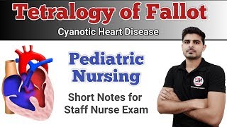 Tetralogy of Fallot  Pediatric Nursing [upl. by Virnelli]