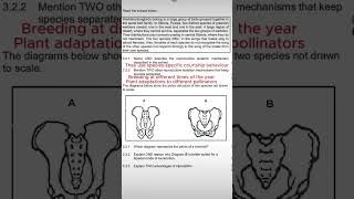 Life sciences grade 12 human evolution thundereduc [upl. by Litton]