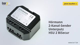 Hörmann 2KanalFunkUnterputzsender  HSU 2 BiSecur [upl. by Ais912]