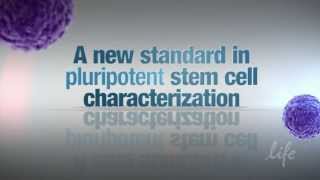 A new standard in pluripotent stem cell characterization  TaqMan® hPSC Scorecard™ Panel [upl. by Acie867]