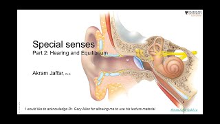 Theories of Hearing and Potentials Of Inner Ear [upl. by Keyes]