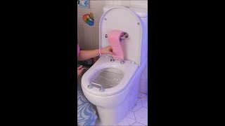 DIY Toilet Hack for Everyday Problems 🚽✨ DIY lifehack funny [upl. by Thaxter]