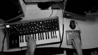 RECONDITE  LEVO Moog Sub 37 remake [upl. by Mcbride510]