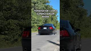 Terminator Cobra Whine  LOUD Supercharger 🤤 [upl. by Anilosi]