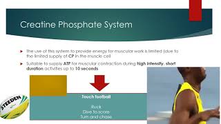 Creatine Phosphate System [upl. by Vola]