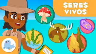 Clasificación de los SERES VIVOS 🦠 🐰 5 REINOS 🌱 Ciencias para niños [upl. by Zea759]