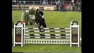 World Record Puissance Show Jumping Franke Sloothaak [upl. by Feinstein]