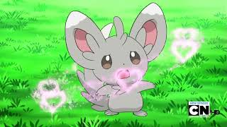 Emolga and Minccino use Attract on each other Pokémon Black amp White [upl. by Lebana]