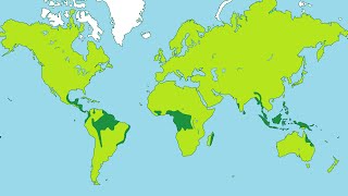 Facts about Tropical Rainforests [upl. by Drauode]