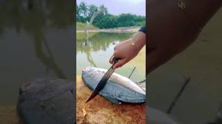 Fish Barbeque🐟watch full video in my channel barbecue fishcutting cookingoutdoor lakshadweep [upl. by Erialb]