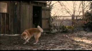 Hachi A dogs tale [upl. by Ahsart]