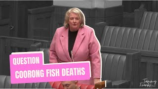 Question Coorong Fish Deaths [upl. by Oluap]