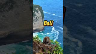 Bali Indonesia Budget tour plan and how to visit 😍 shorts ytshorts tranding traval [upl. by Nailluj677]