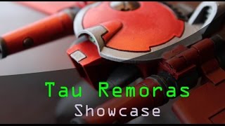 Showcase Tau Remoras [upl. by Analim]