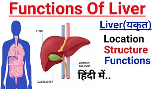 Functions Of Liver  यकृत की संरचना व कार्य  What does the liver do  Study with Bipin [upl. by Aluino550]