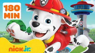 Psi Patrol  Najbardziej ryzykowne akcje ratunkowe Marshalla🚒 3  Nick Jr Polska [upl. by Aviva]