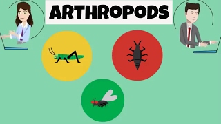 Characteristics of Arthropods [upl. by Roger633]