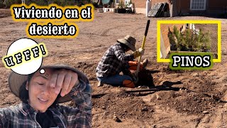 137 ME TOCO PURO CALICHE PERO METÍ LOS PINOS💯Y LOS PERROS⁉️vlog vidadecampo [upl. by Saturday]