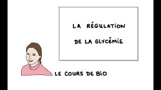 La régulation de la glycémie [upl. by Chuah]