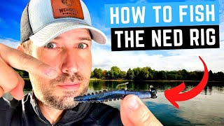 NED RIG  4 Tips to Catch More Bass With This Simple Lure [upl. by Janaya754]